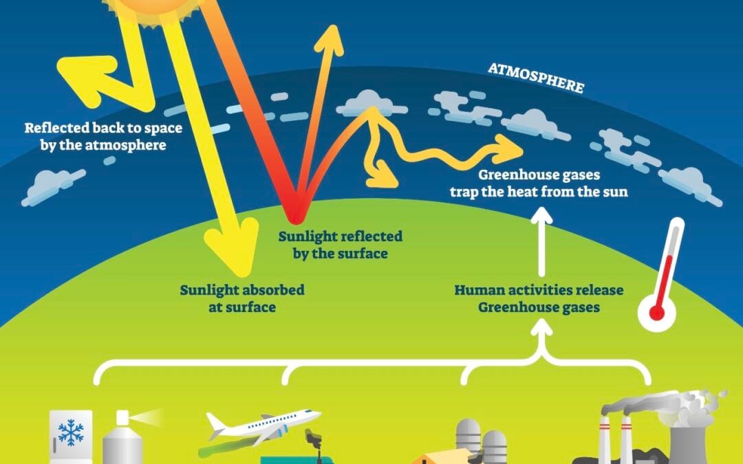 Η "Παρεξηγημένη" Ιδιοφυΐα του CO₂